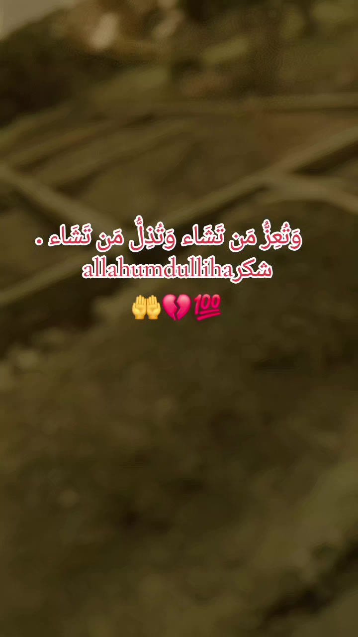 @BILAL RAJPOOT 🦅🦅🦅💯🔥