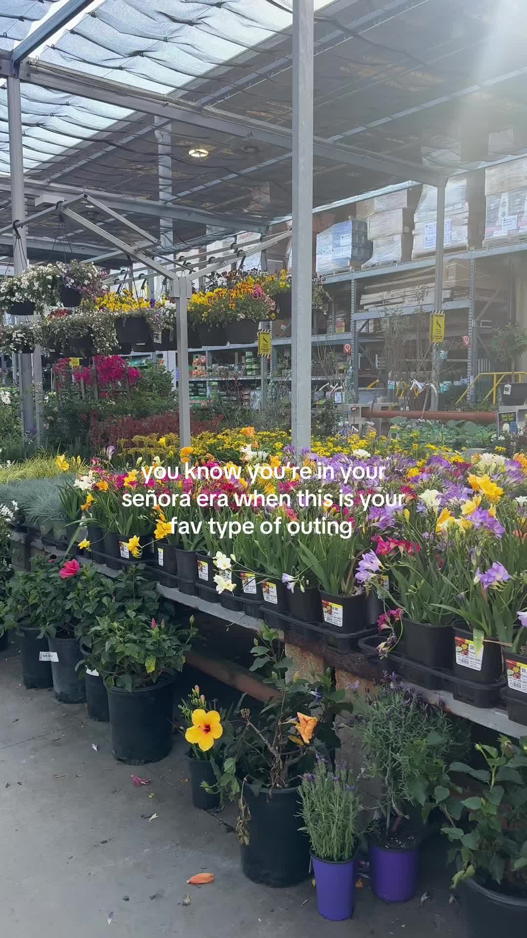 @Lily