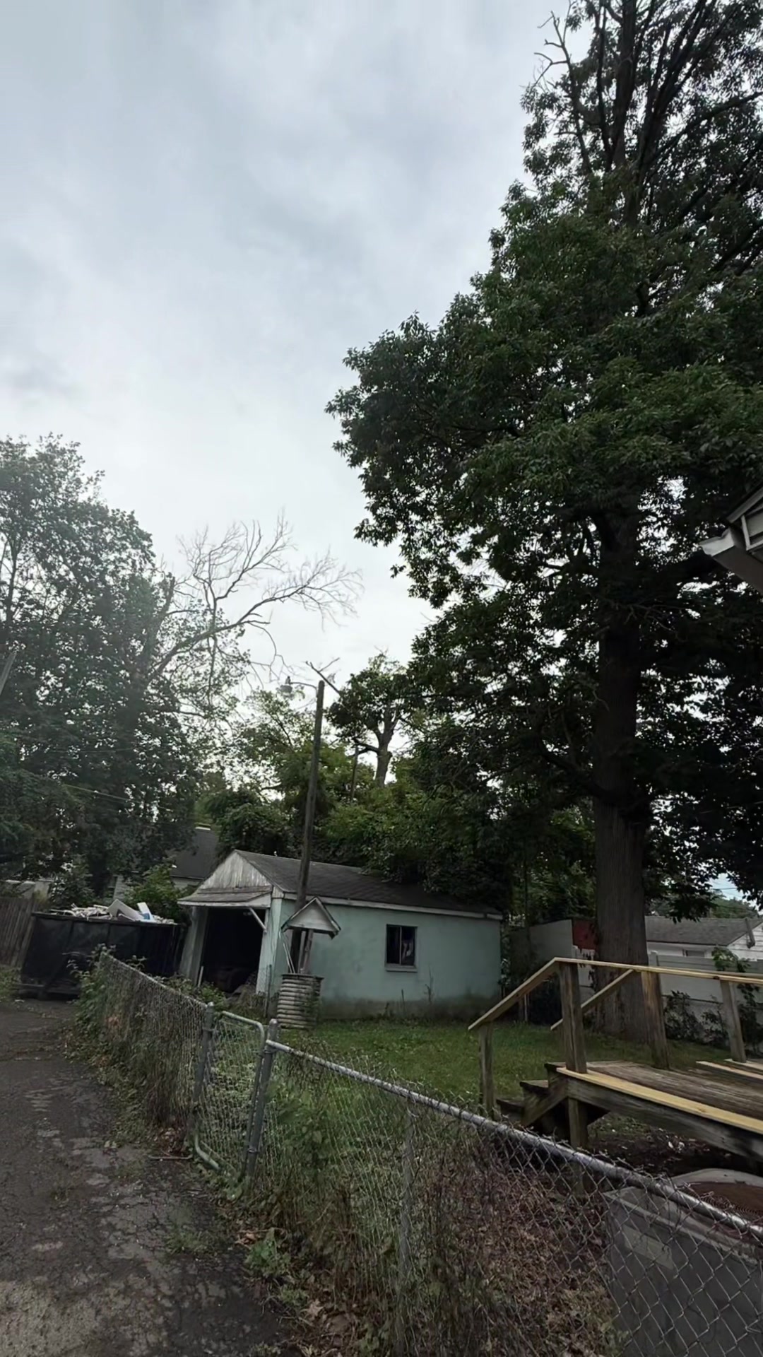 @gotreeservices6