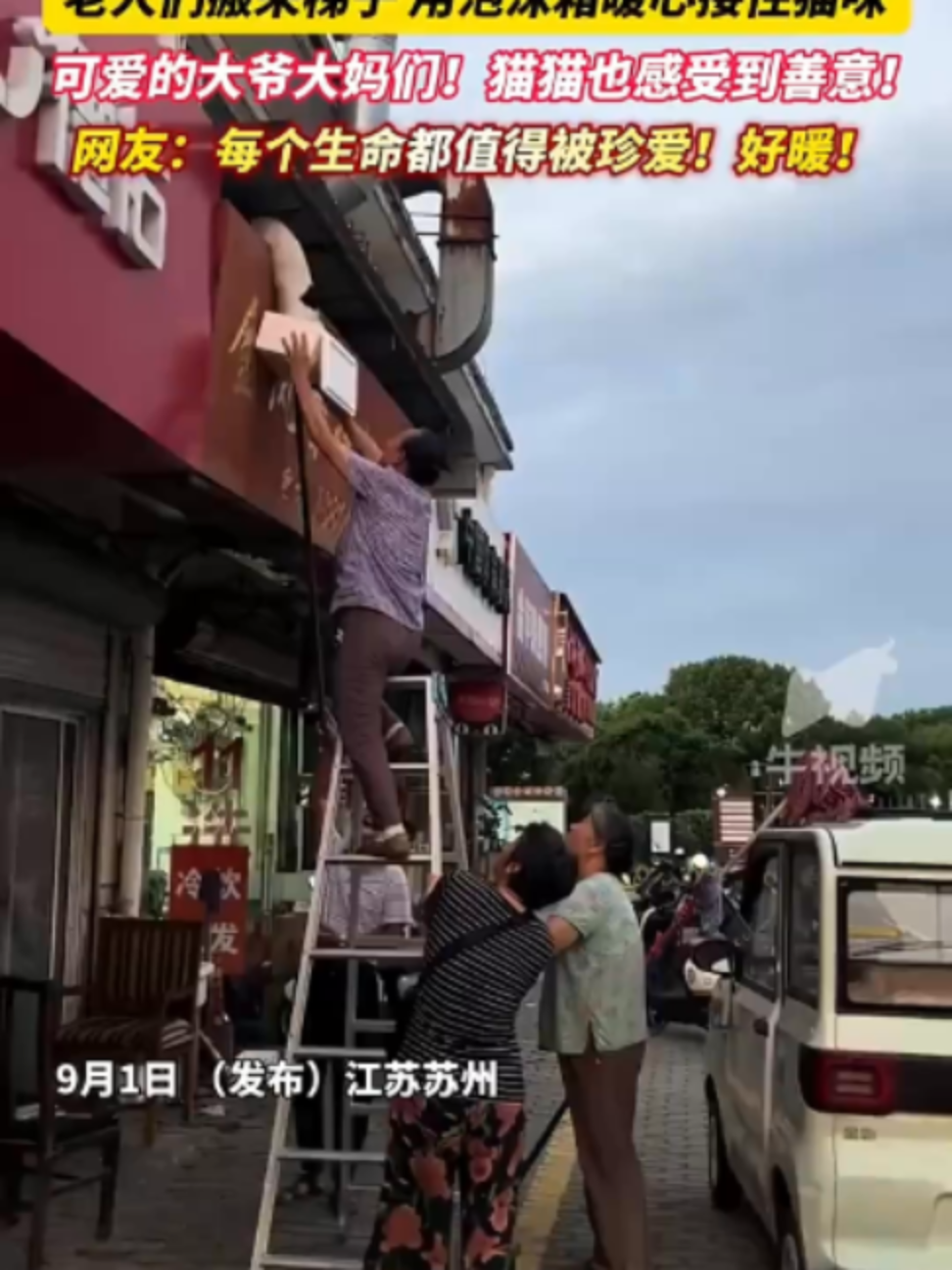 @中国蓝国际