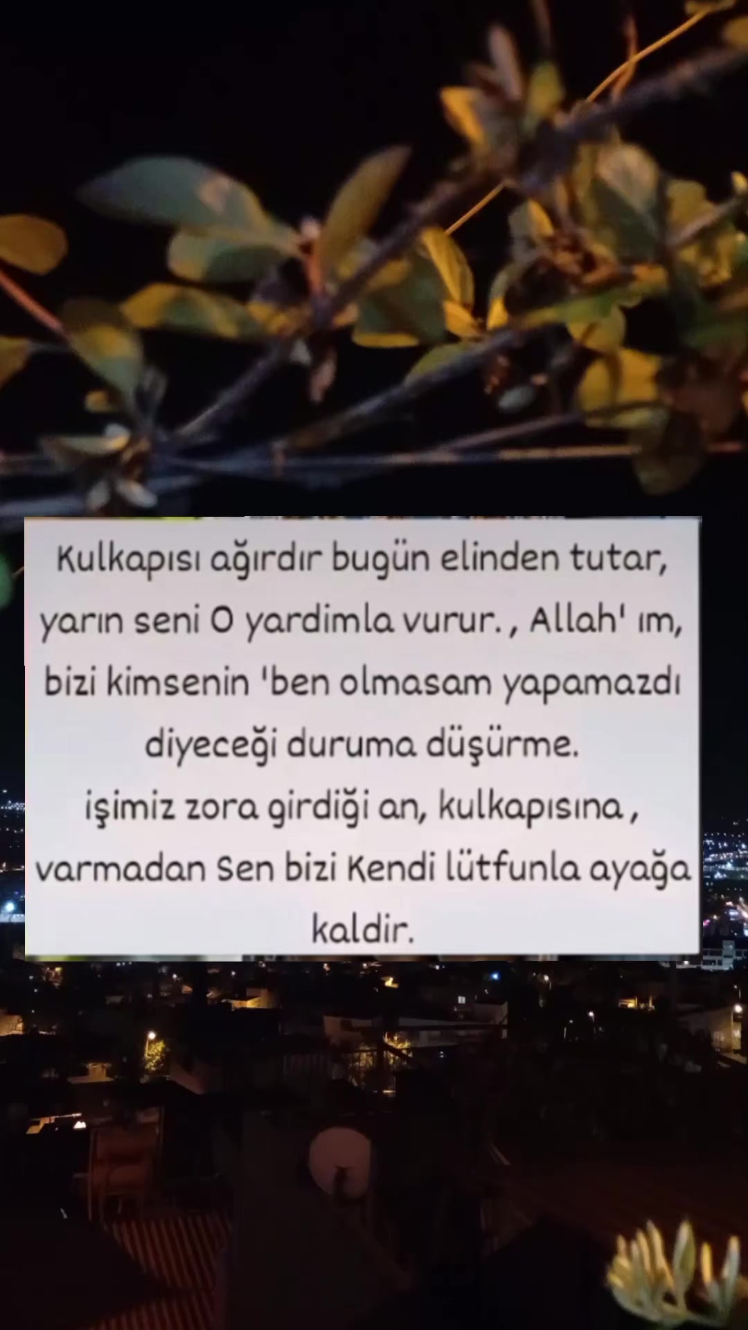 @Gönül DAĞ