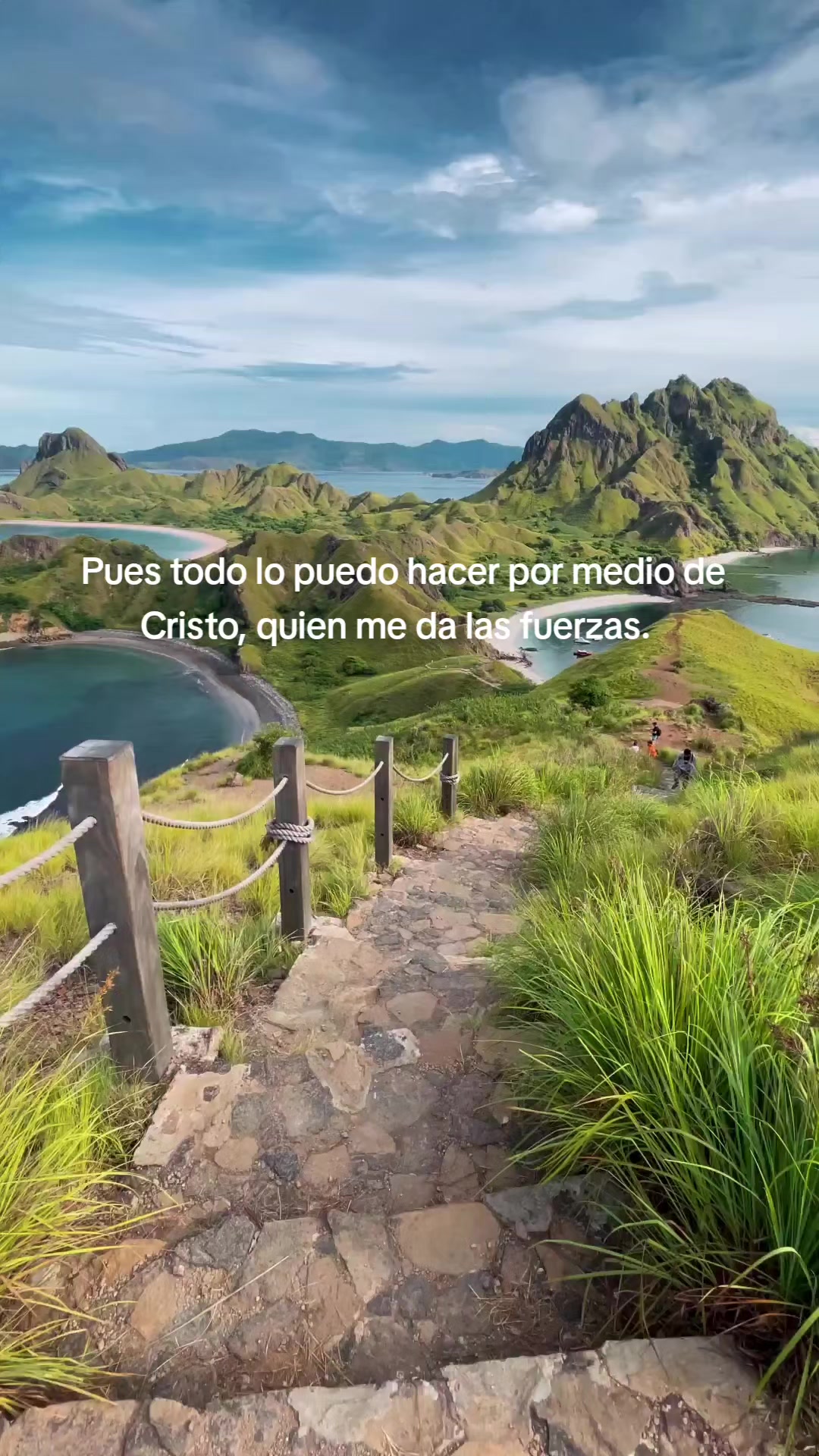 @Elfego Lopez