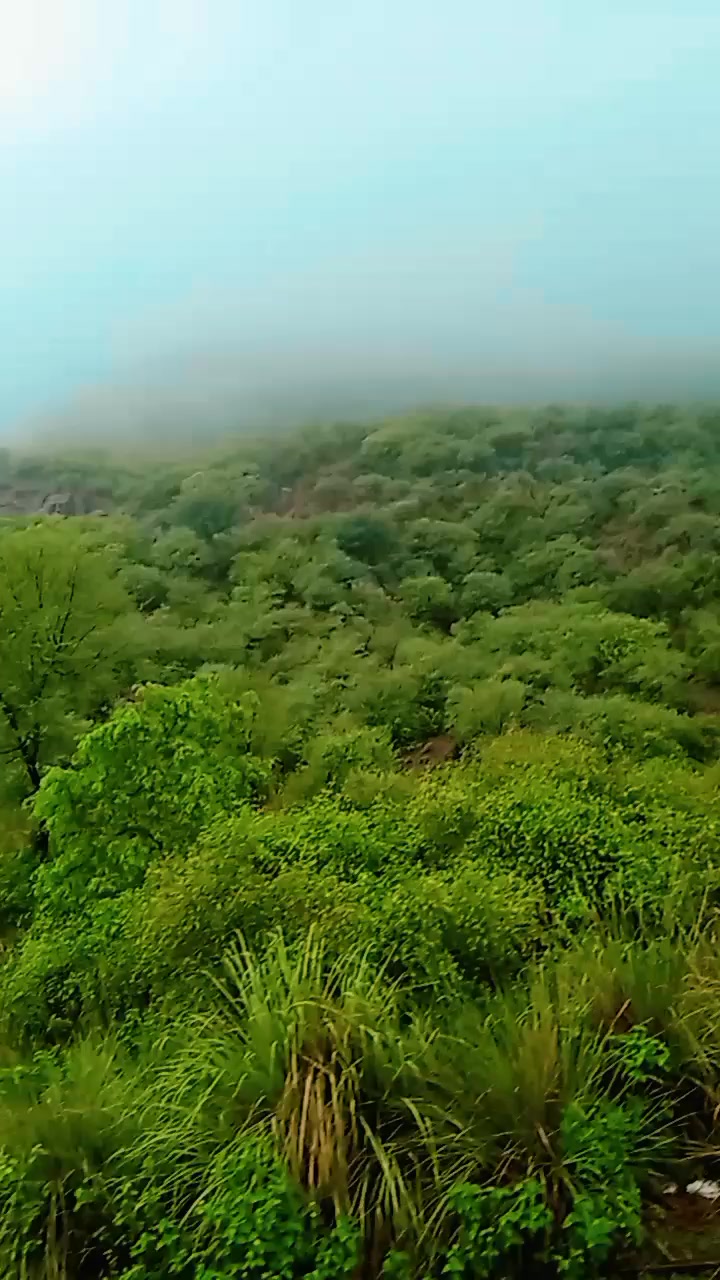 @✨شہباز خان💯