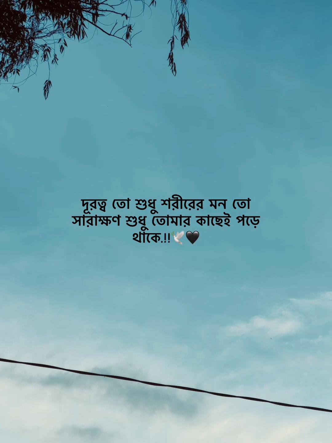 @𝗔𝘇𝗶𝘇𝘂𝗹_🧃🌷