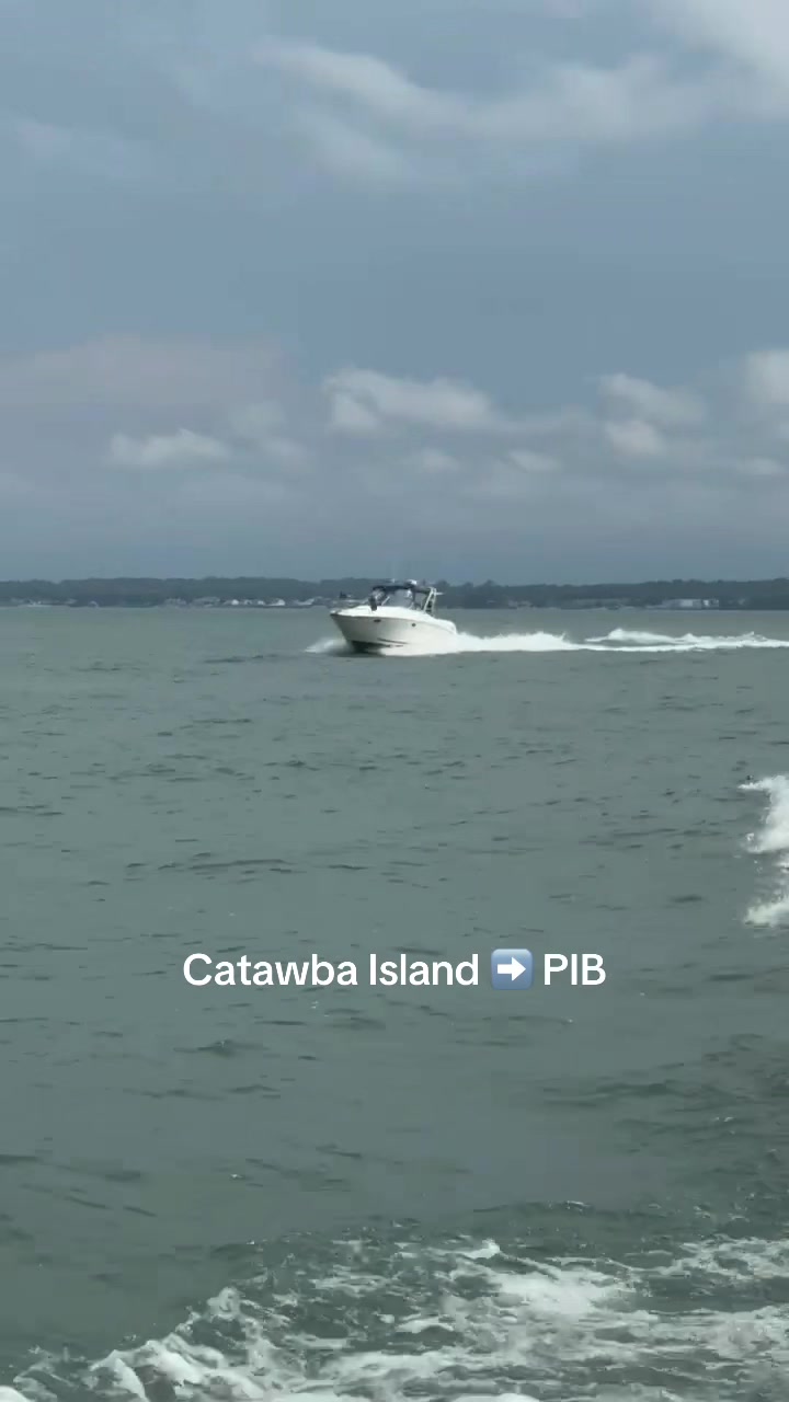 @Lake Erie Locals
