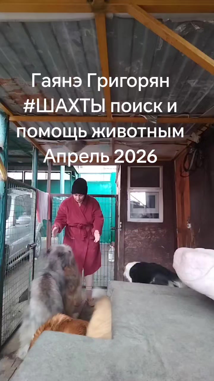 @Гаянэ Григорян