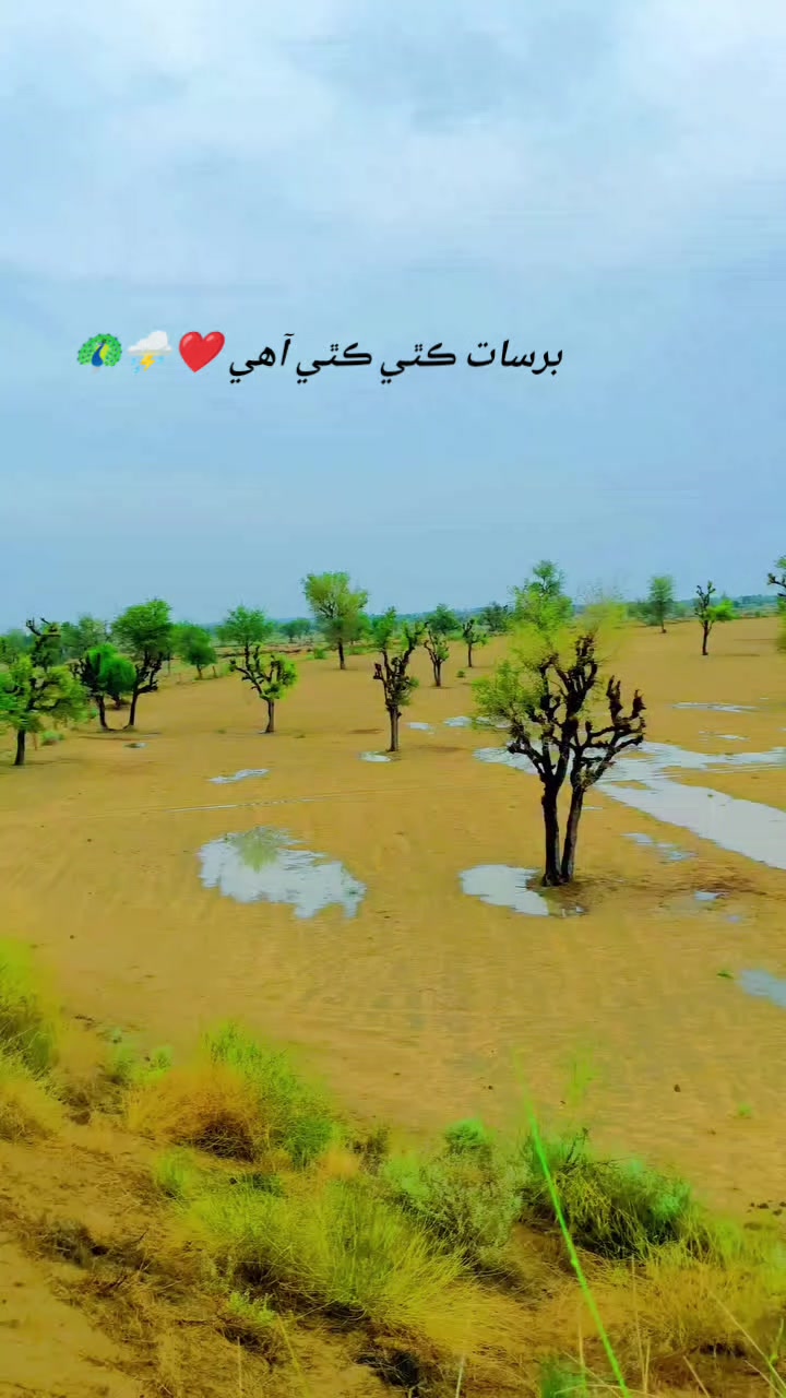 @فوزيه سومرو🥀❤️