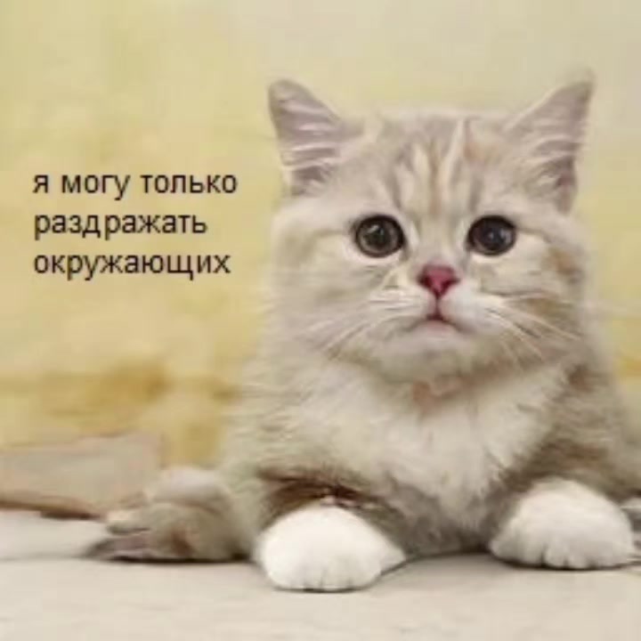@Пепел