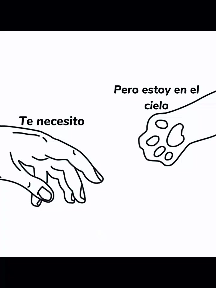 @NOTICIAS