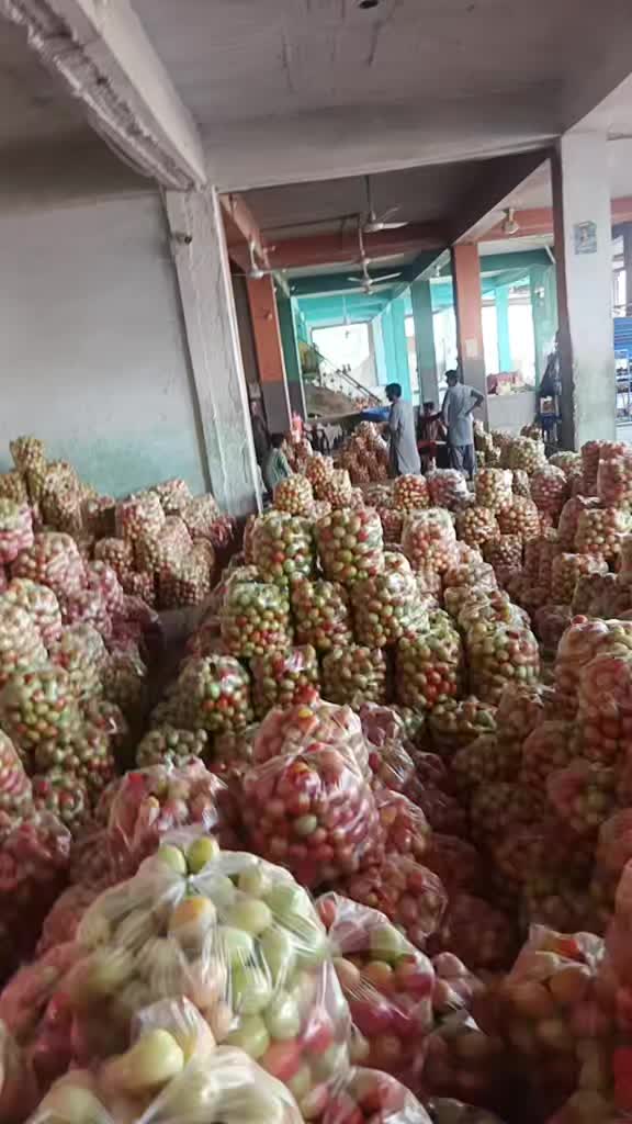 @sana ko ko202