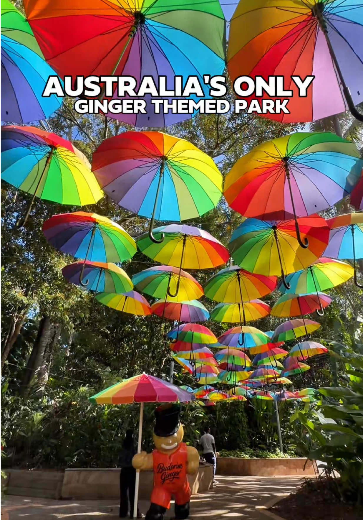 @BRISBANE
