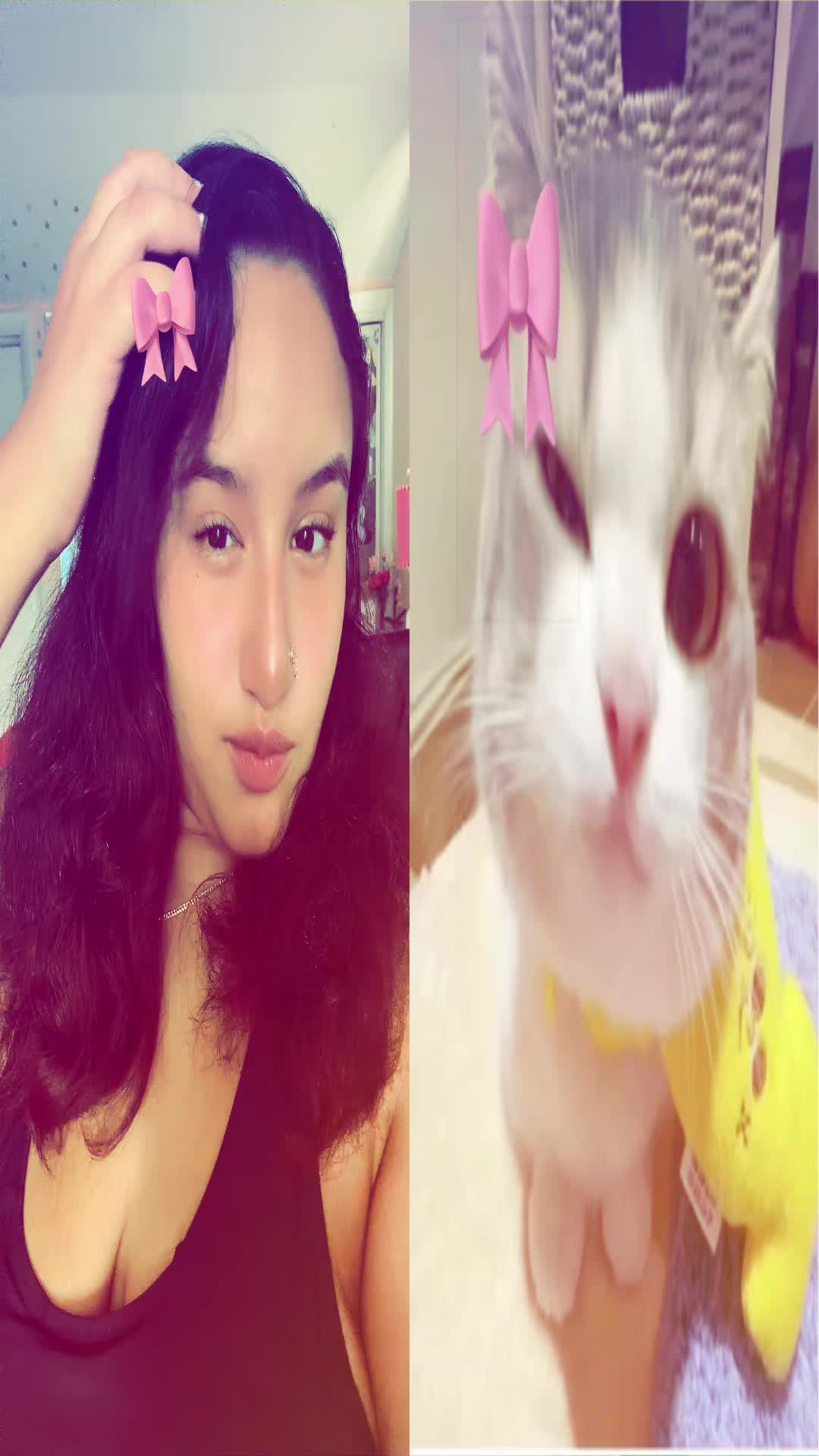 @Shinx Lover