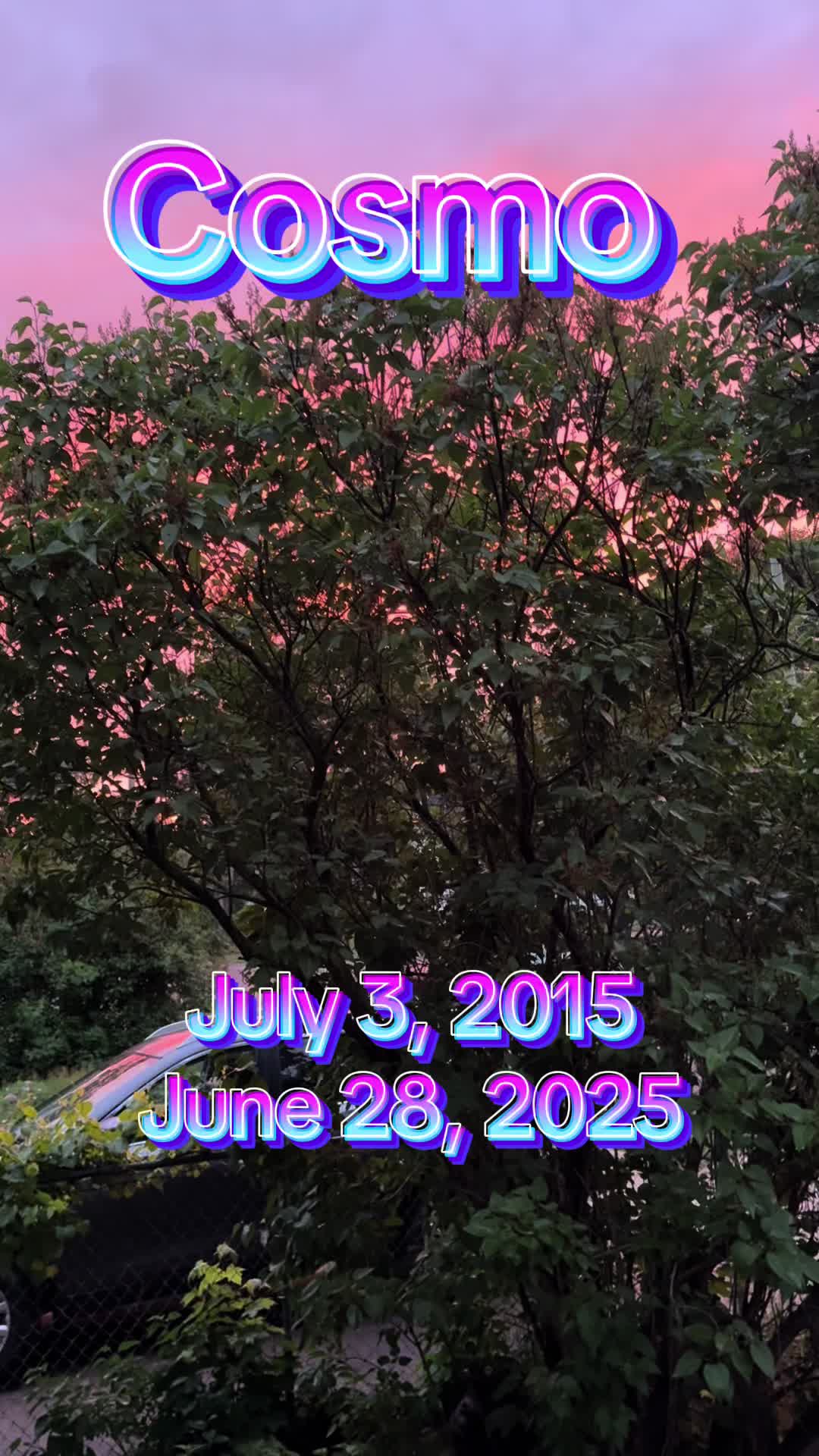 @OurRainbowBridgePets