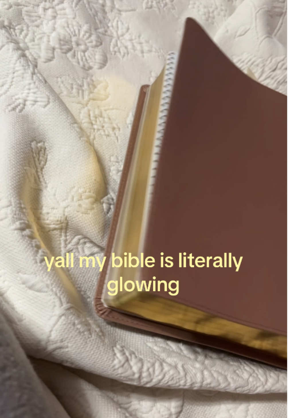 @50036_