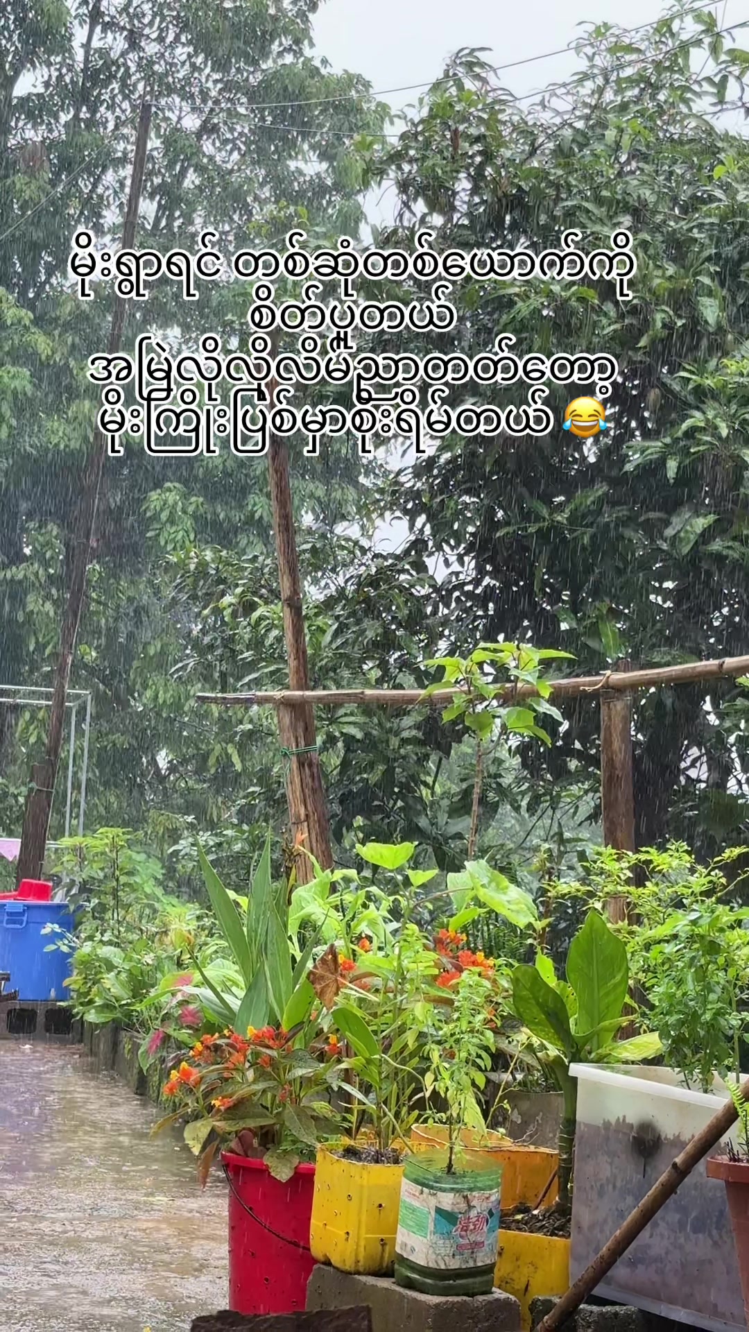 @đˇAh tsawm đˇ