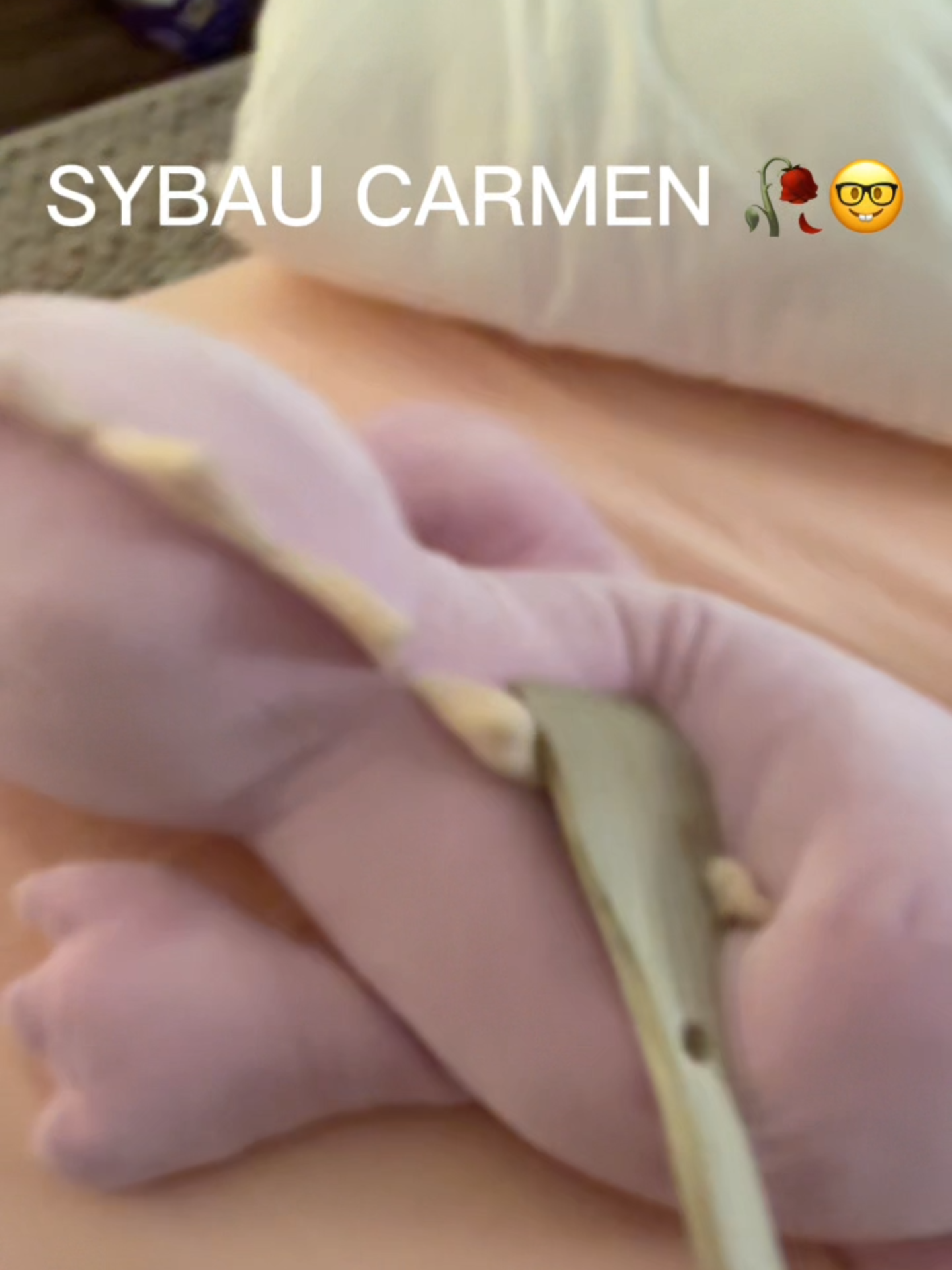 @SYBAU 🥀