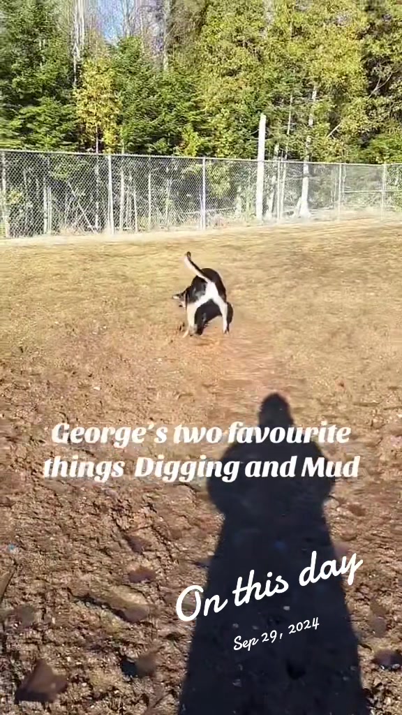 @George Allen 🇨🇦