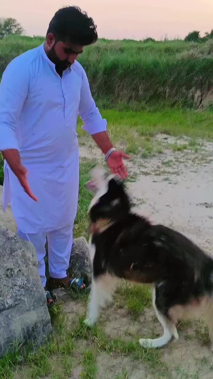 @ABBAS AWAN