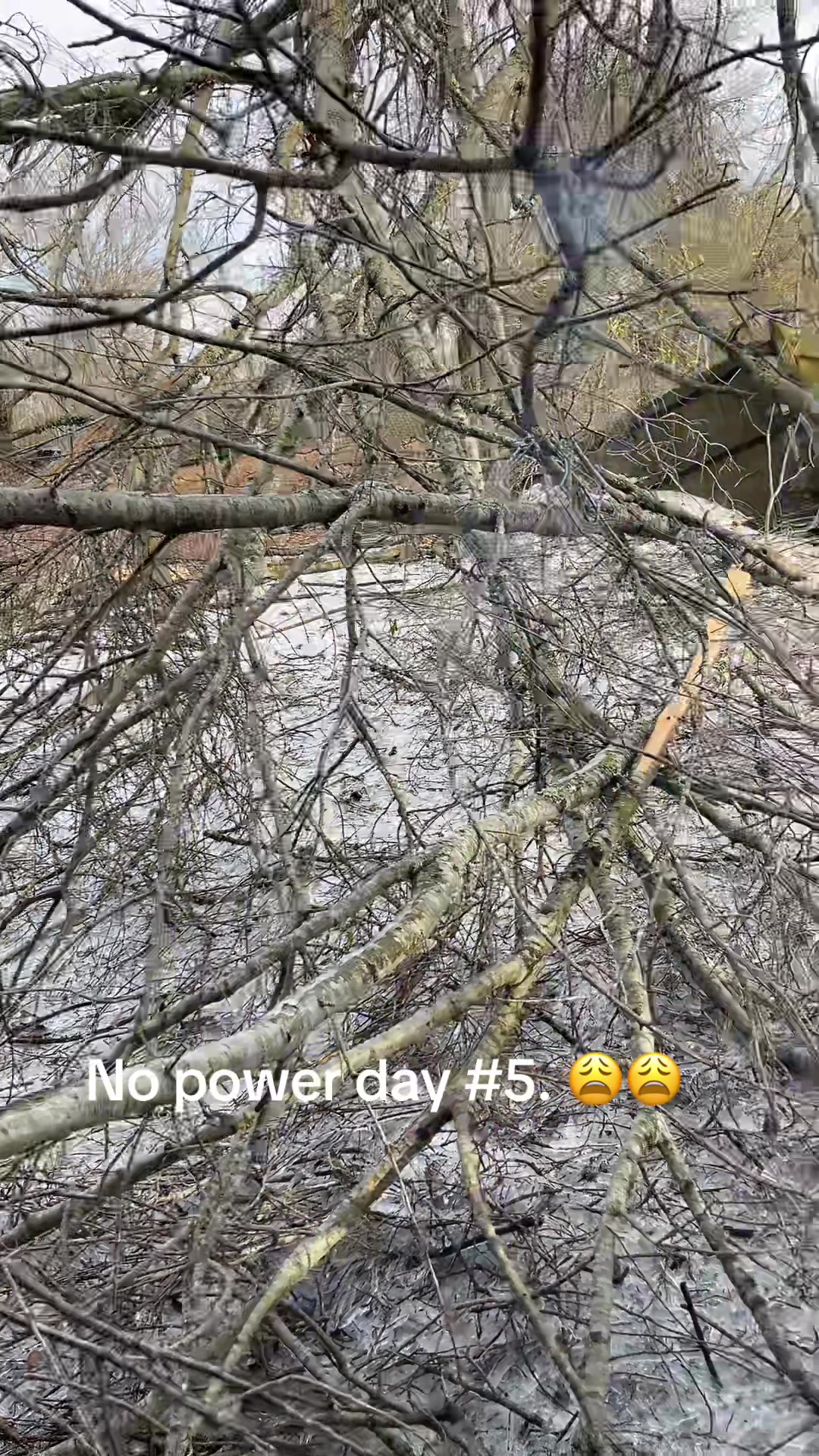 @Hattahoe79
