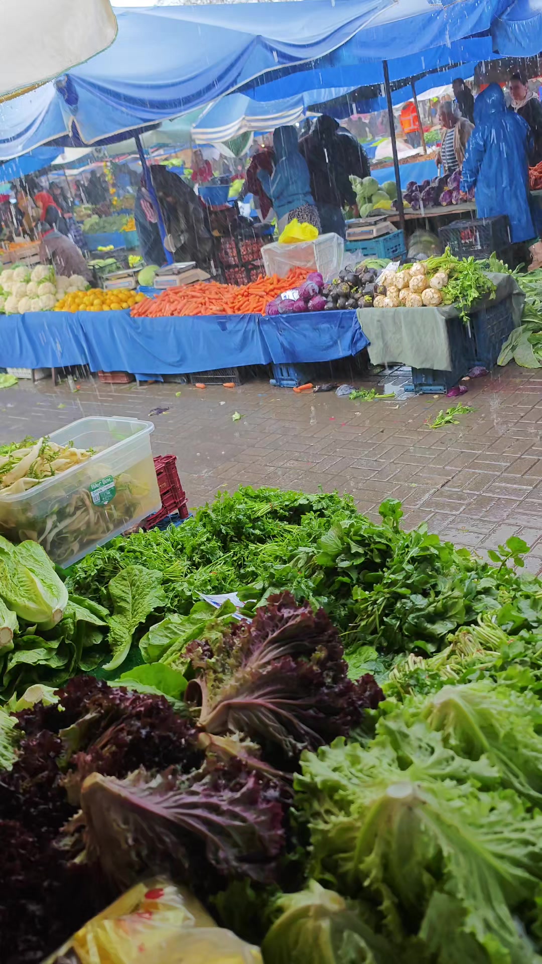@Alan Tarım &Uuml;r&uuml;nleri 🥗
