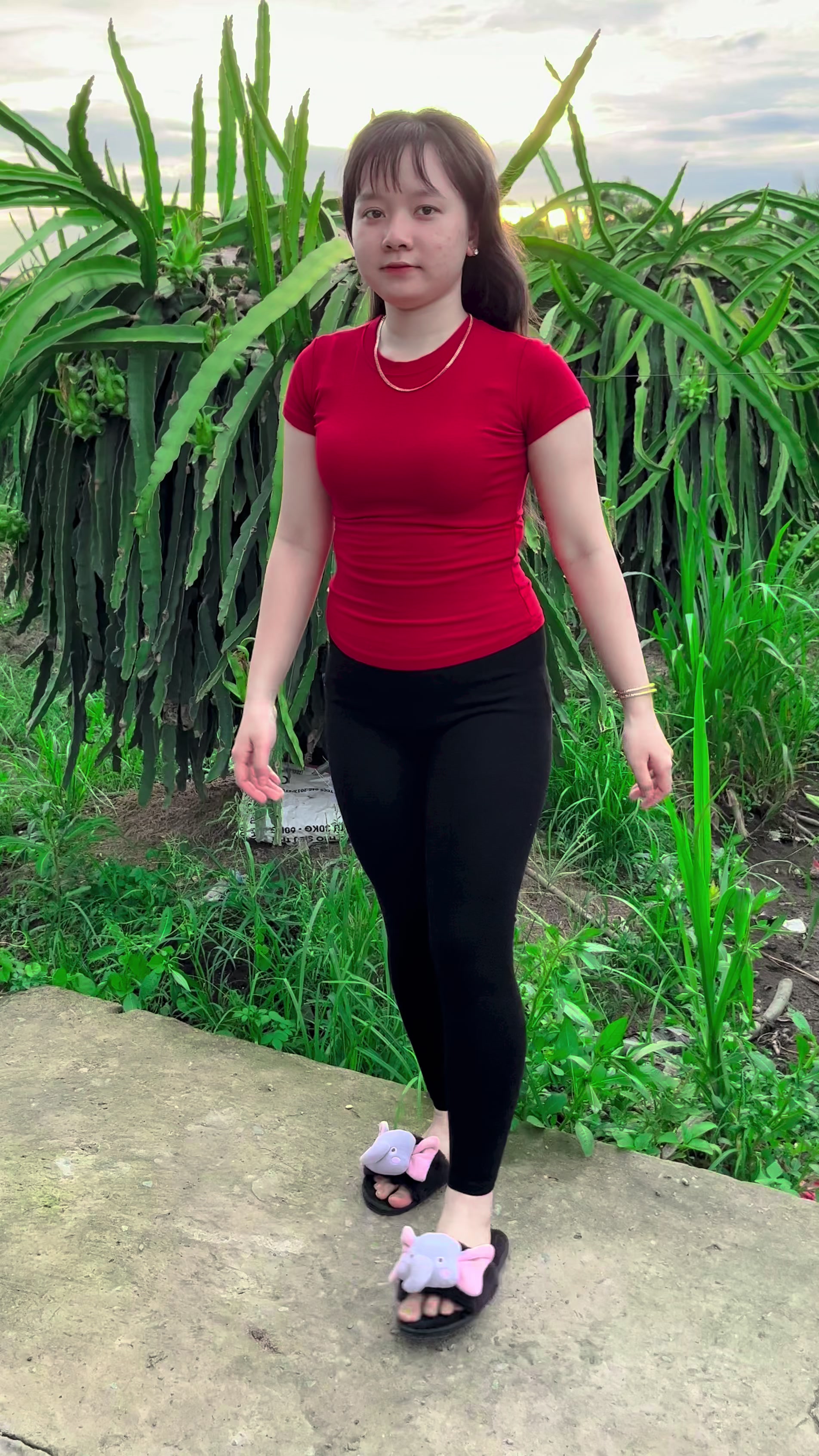 @Cẩm Trúc