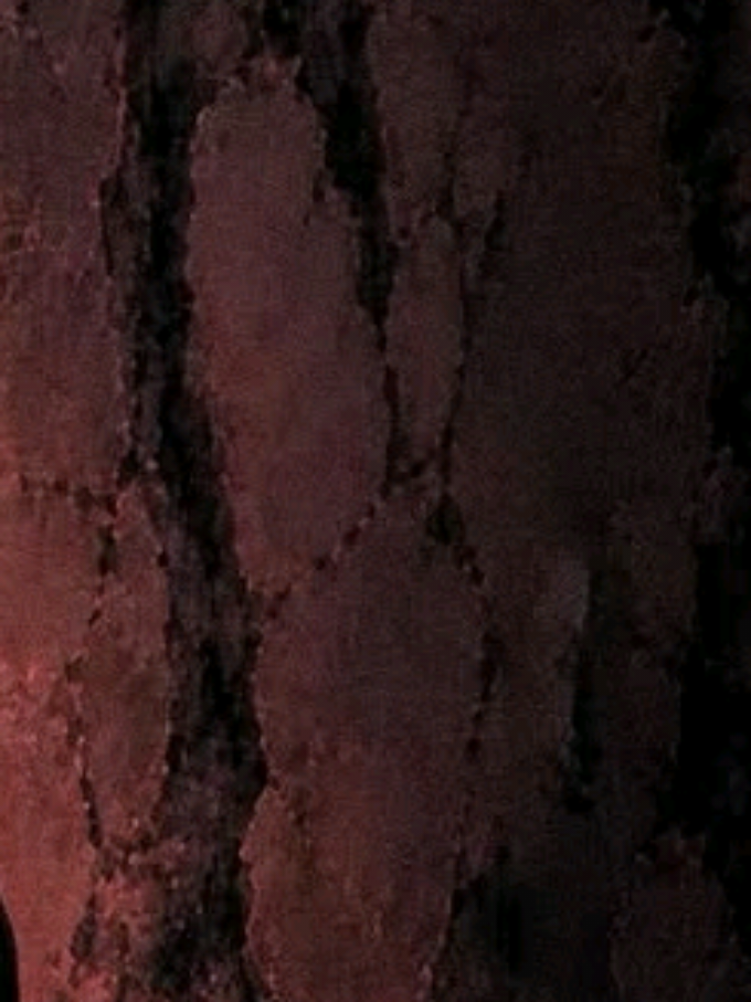 @𝙱𝙸𝙰 𖦤