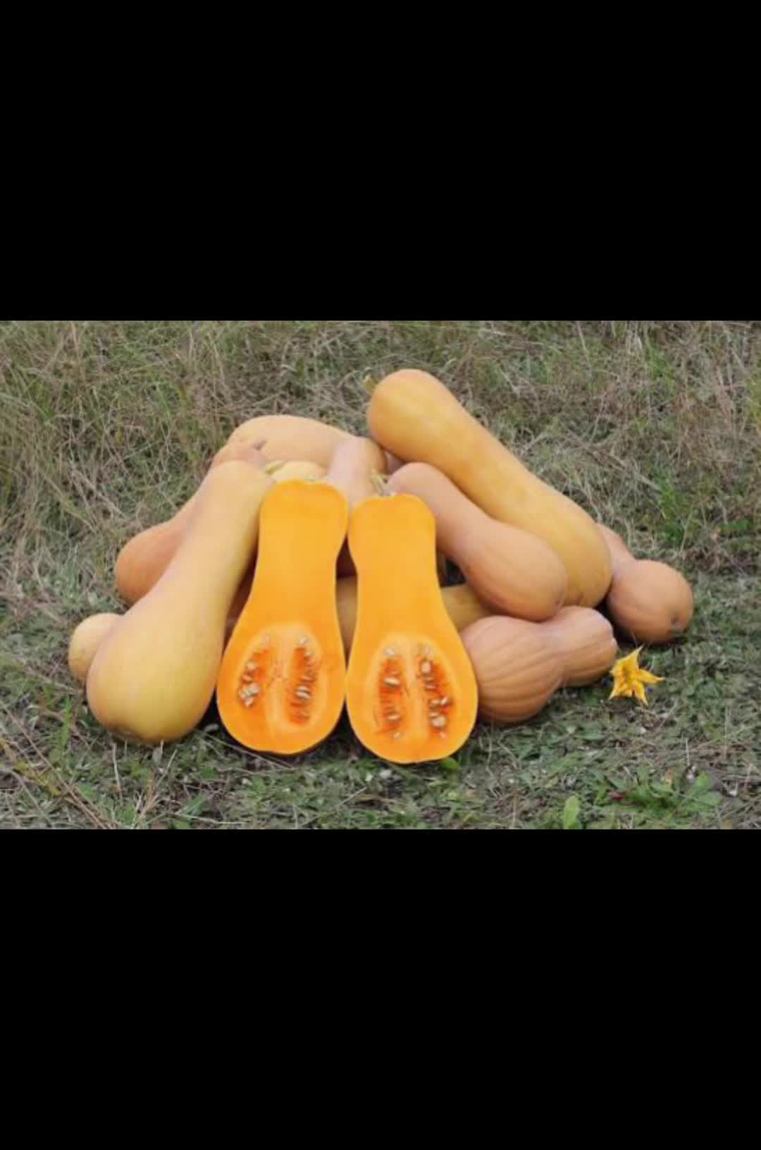 @th_kingxan