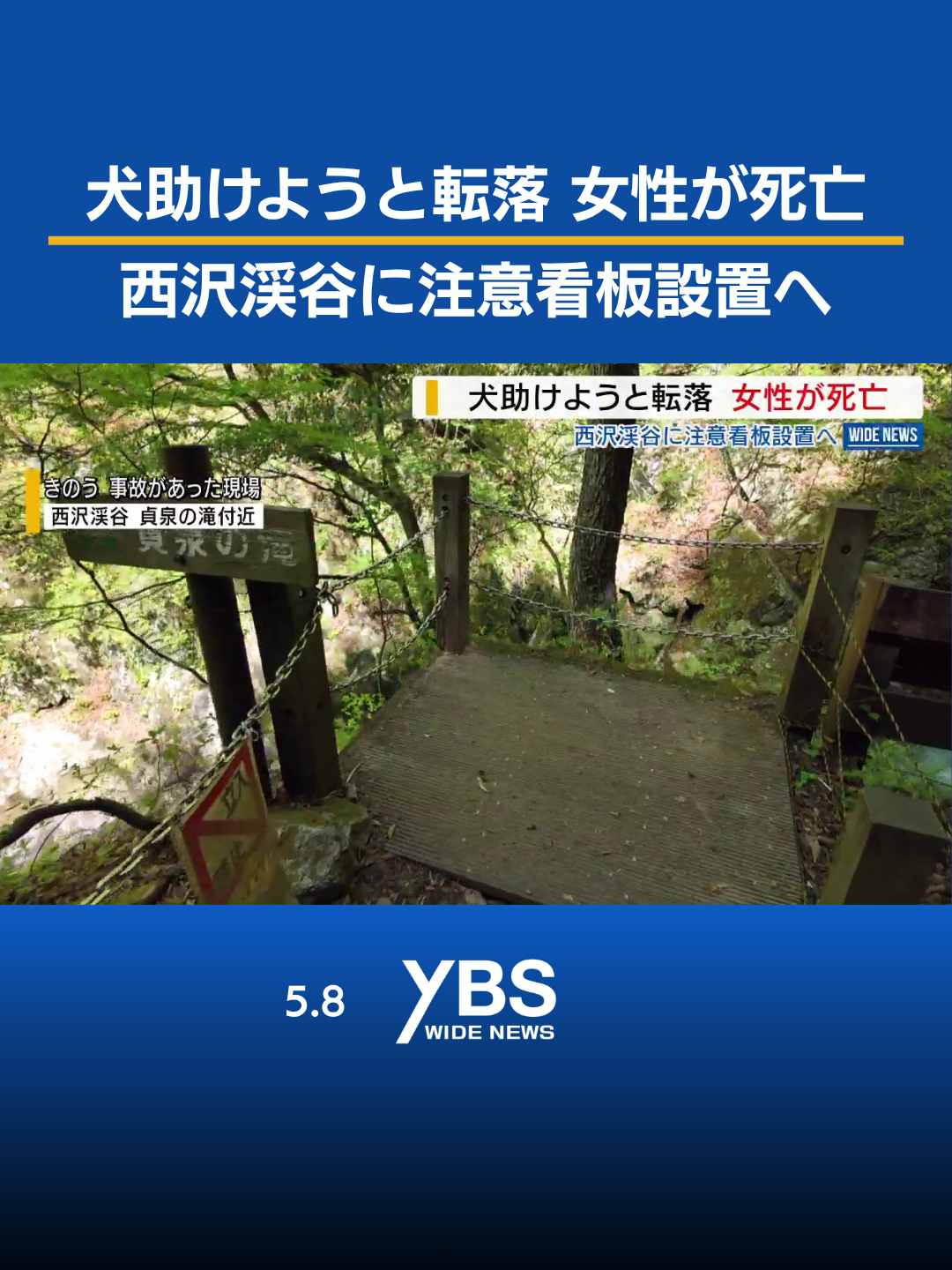 @YBSニュース 山梨【公式】