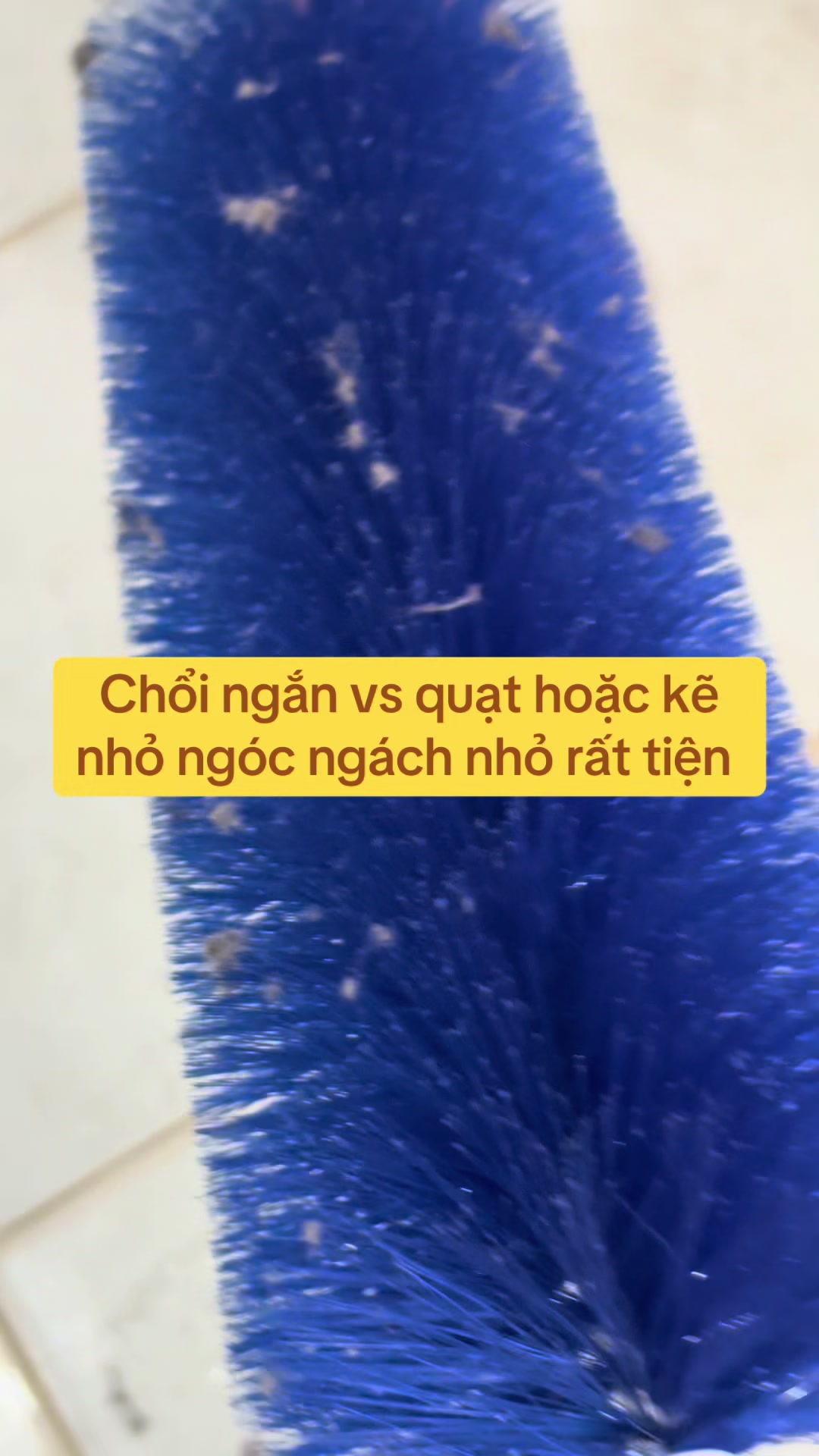 @lethiphuongdiem0