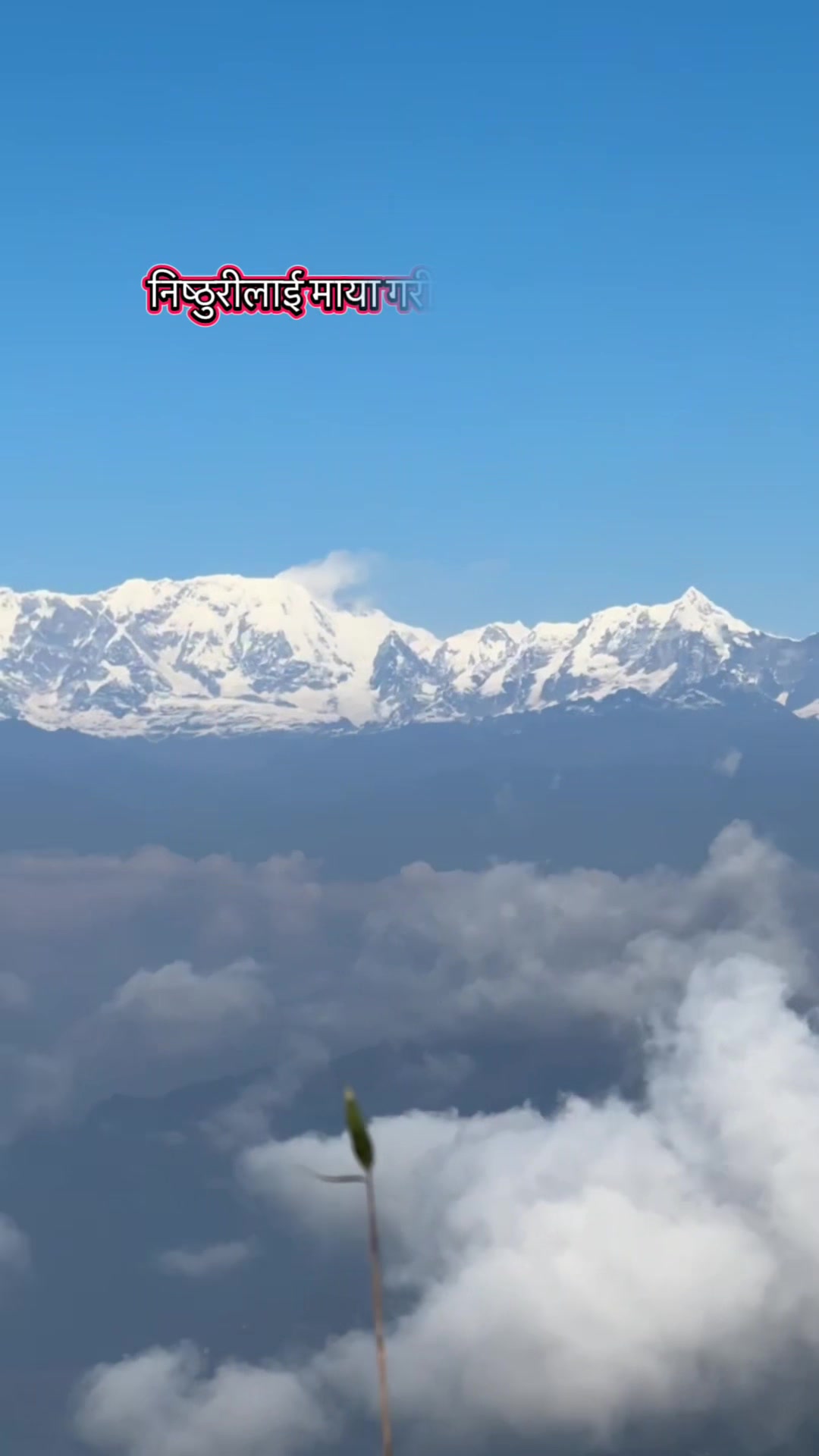 @Hakucha
