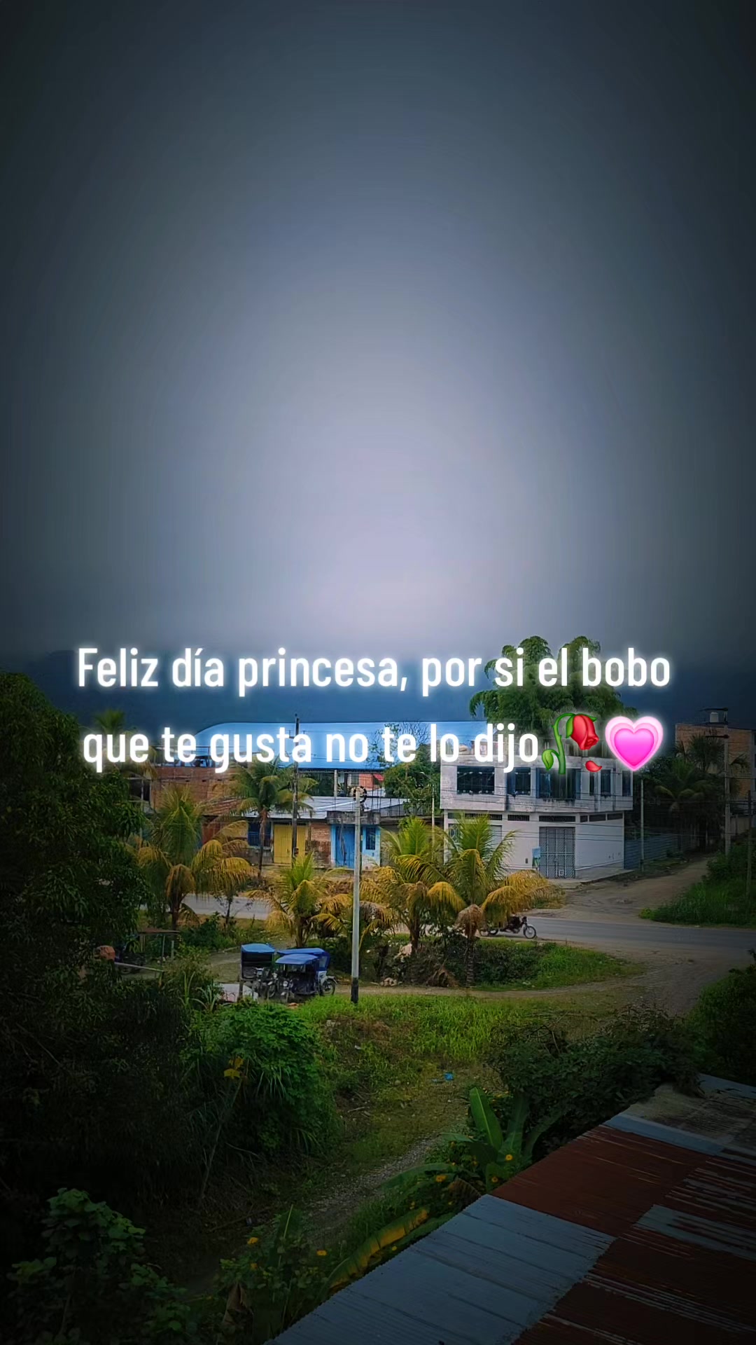 @Mayc 🐯