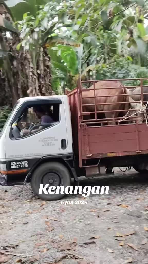 @AmirGarcia69🇲🇾🐂🐐