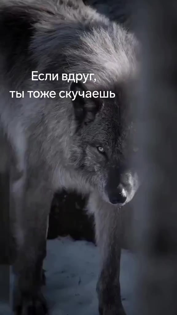 @😈♠️ТаНюШа♠️😈
