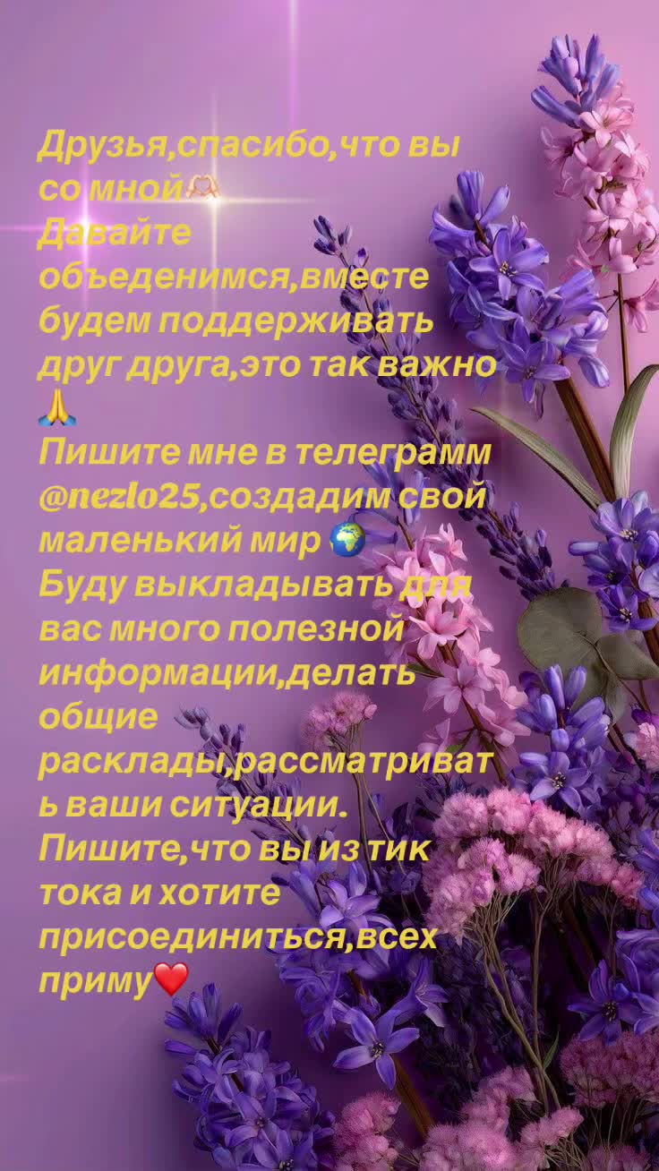 @lenorman8891