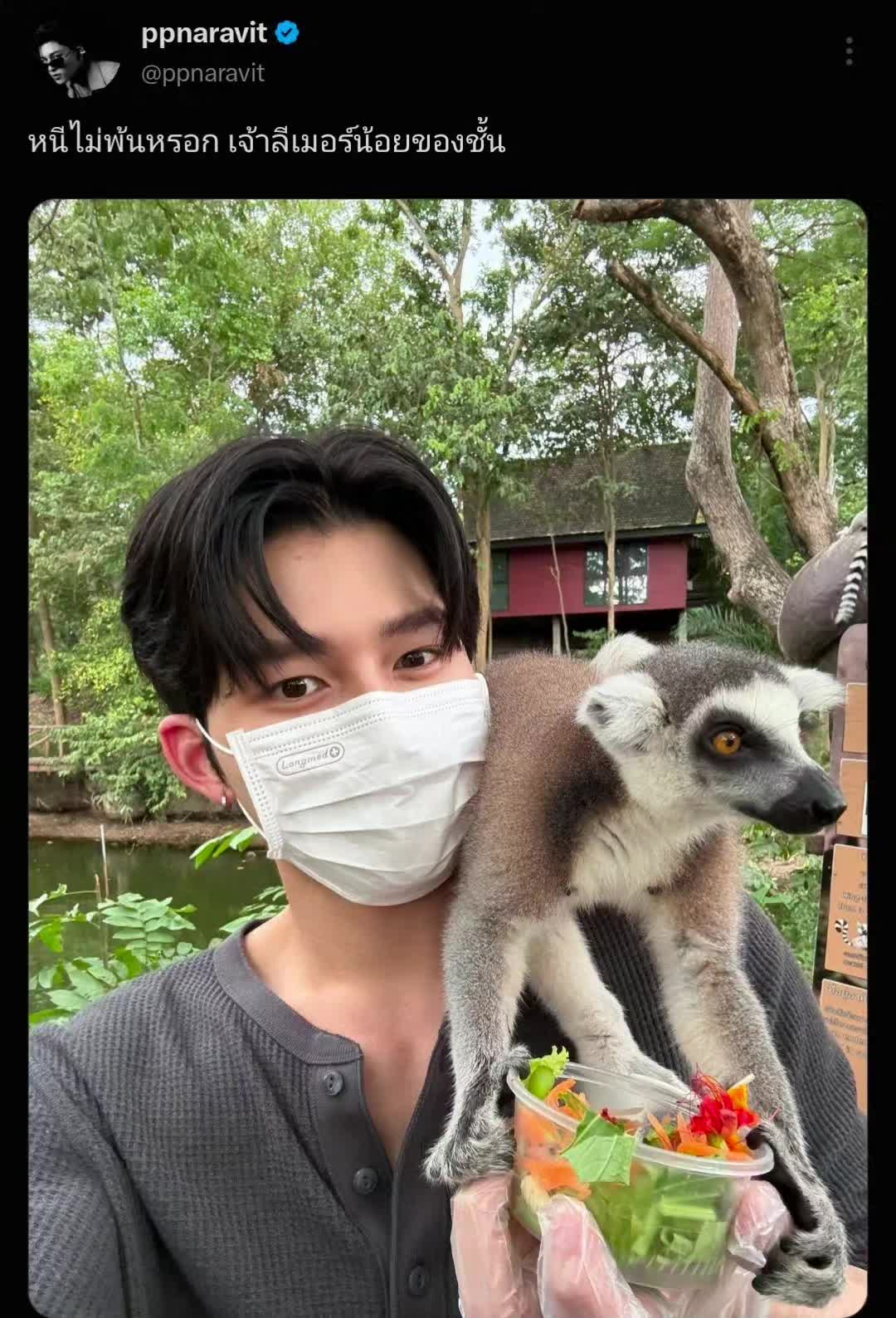 @P 🐻🐼