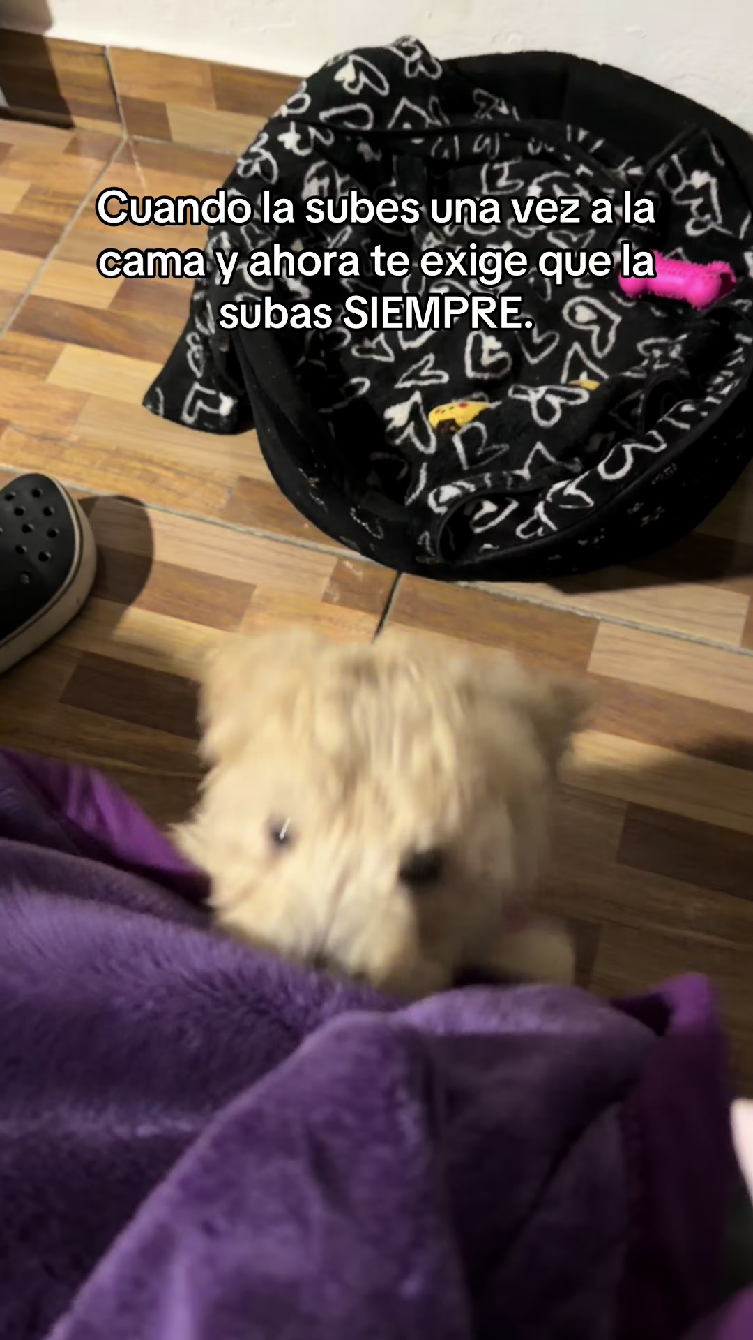 @Mili Martinez