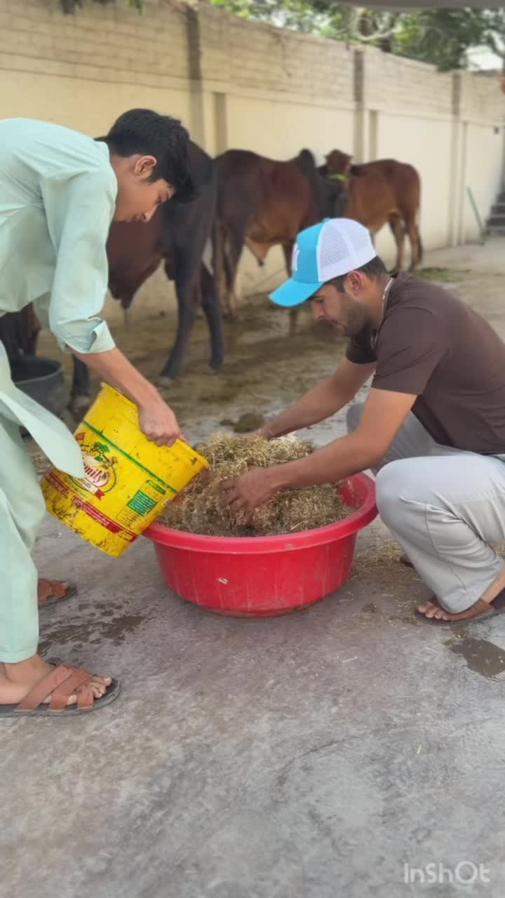 @عباس افریدی🏏