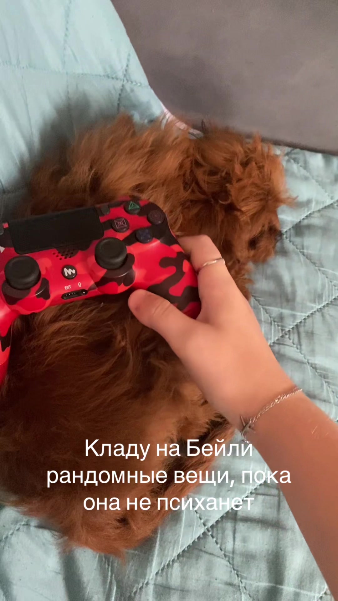 @_.s.n.a._