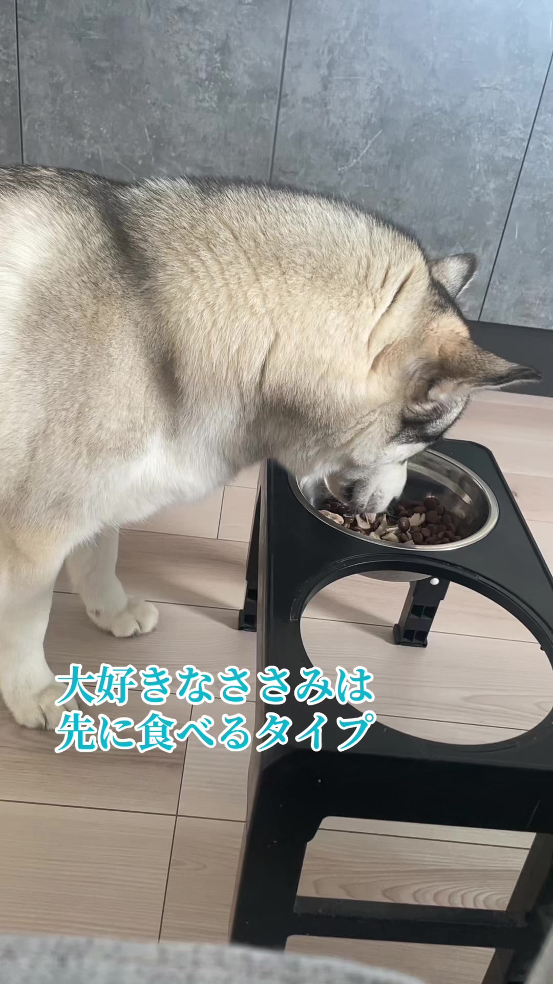 @サン☀️とムーン🌙