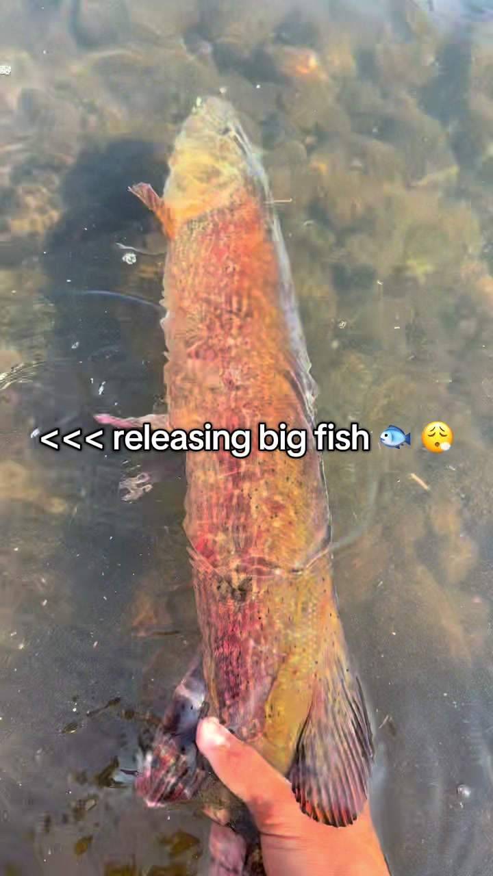 @Minnesota anglers