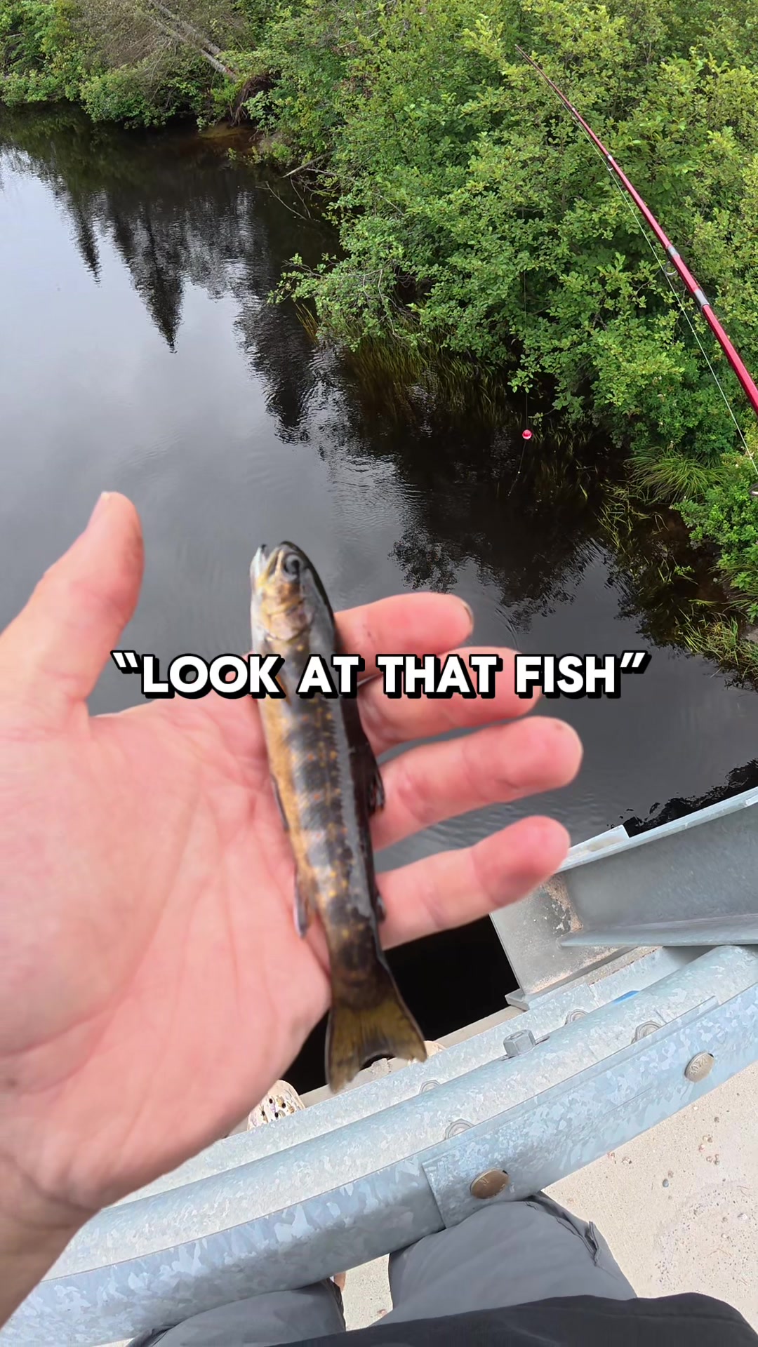 @JlangFishing