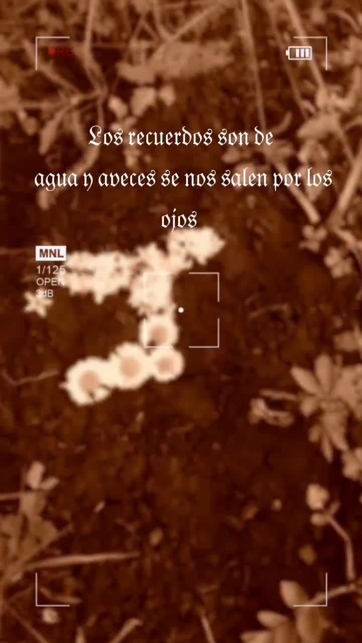 @𝔉𝔬𝔫𝔰𝔢𝔨𝔞