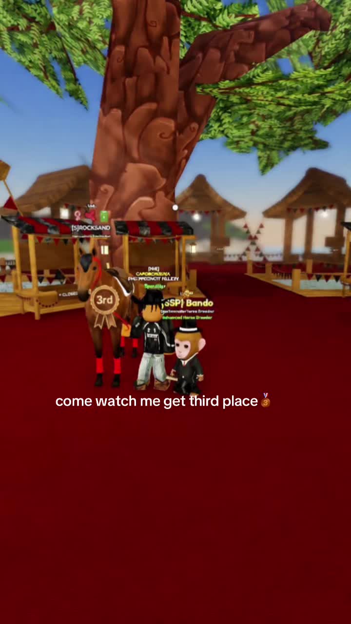@CAPOMONTANA🥋
