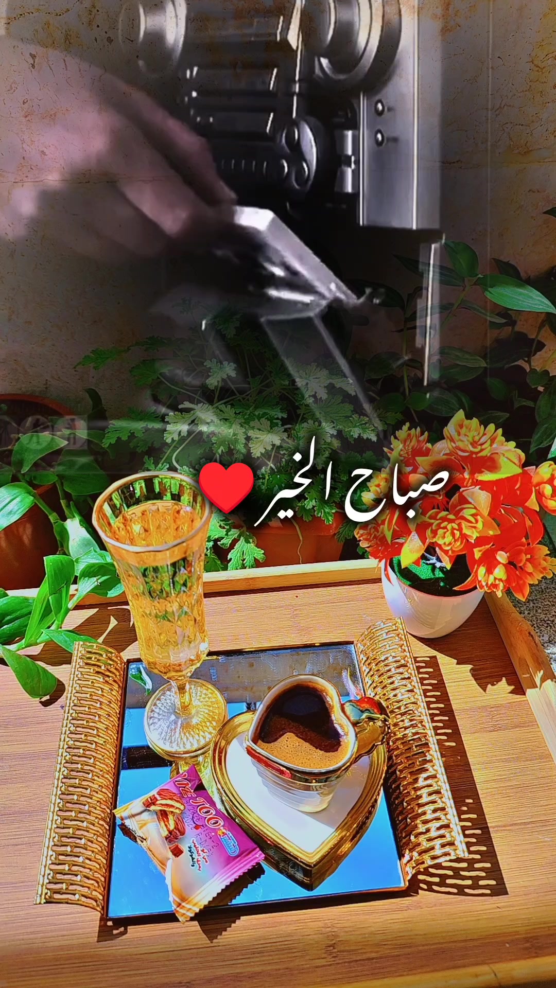@عبير الورد🍃❤️