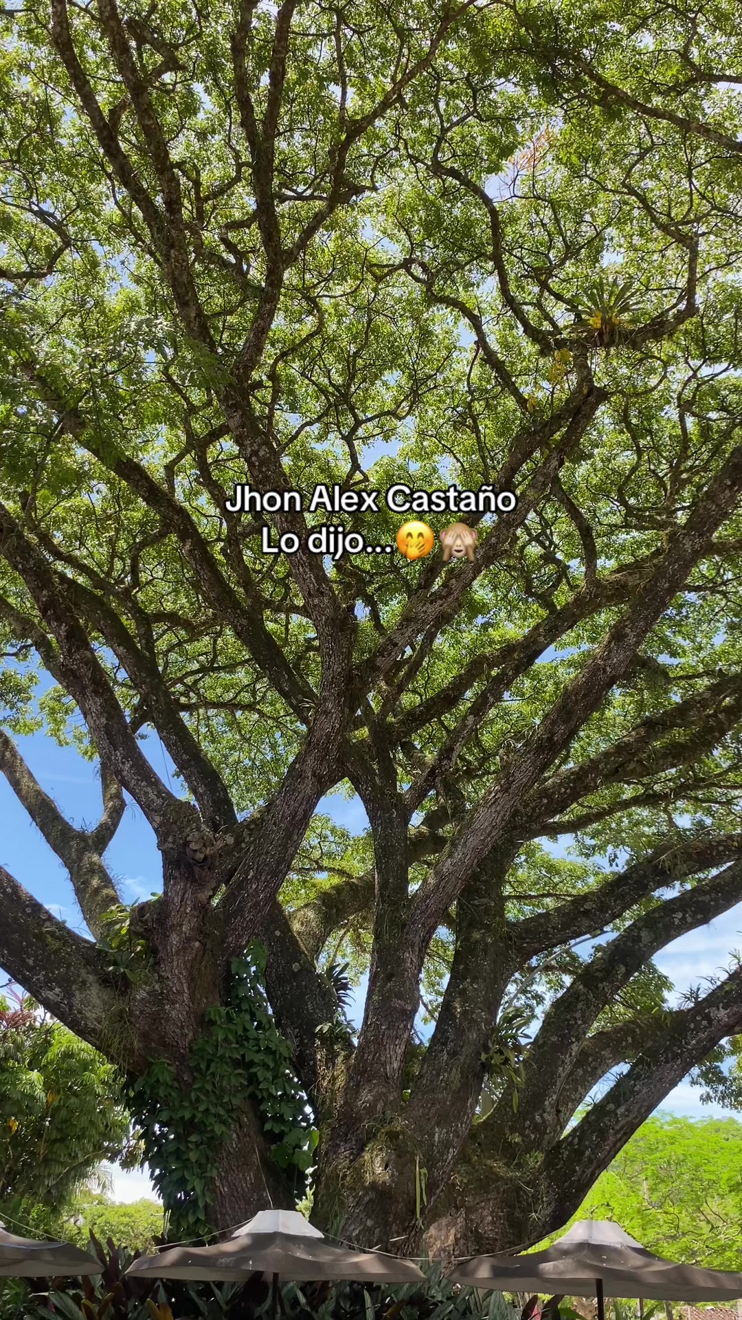 @MarcelaSaenz