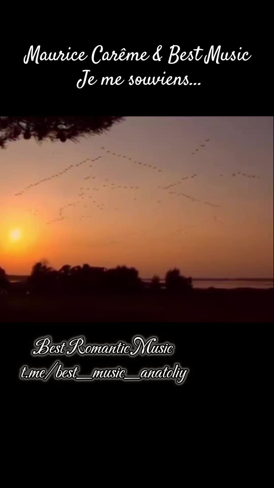 @Best Music