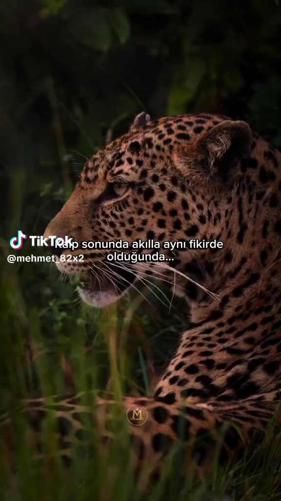 @Theleyhla