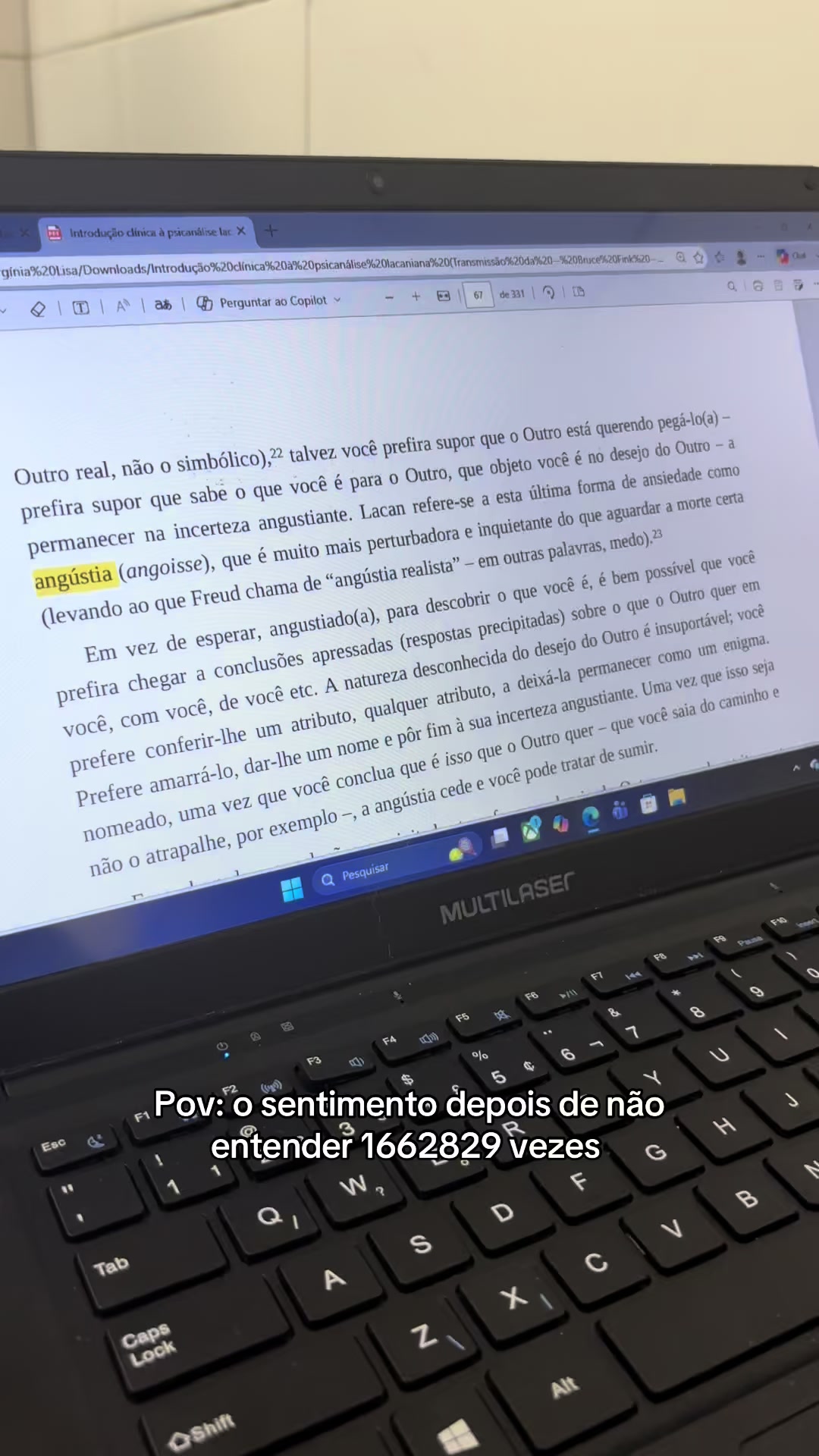 @Elisa Farias