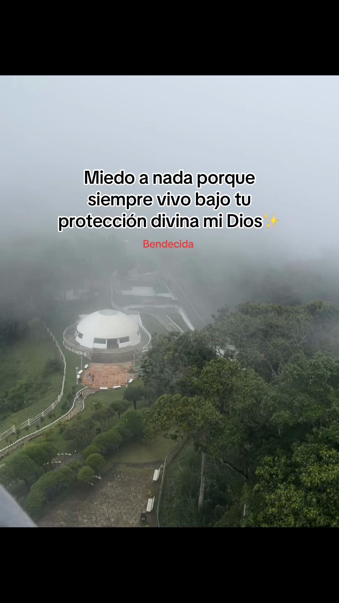 @Sarai Gil