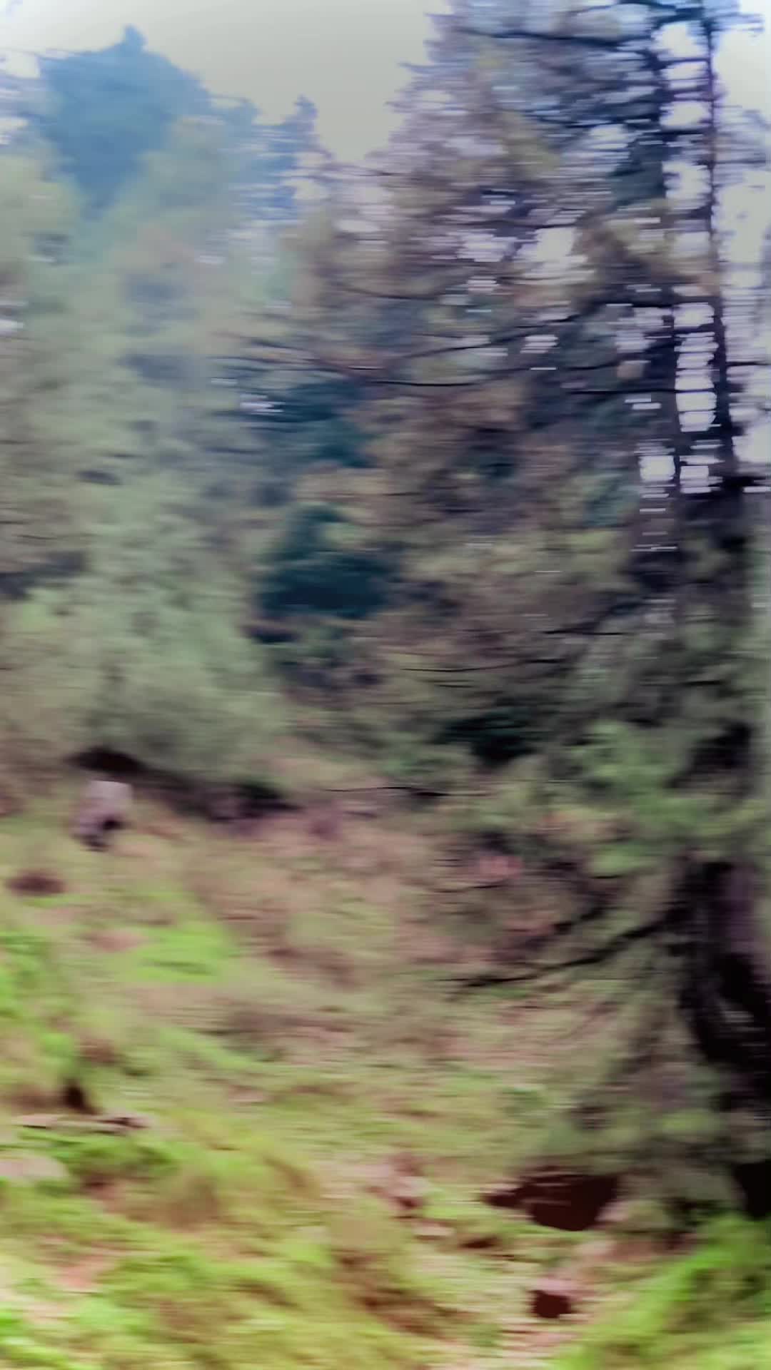 @ᴹᴿ- ՏႮᏞͲᎪΝ🖇️⚡